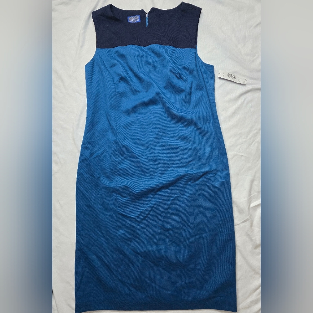 Pendleton Women’s Stretch Shift Dress Blue Virgin Wool Size 12